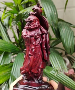 Bodhidharma Buddha Wooden Statue - 20cm Natural Dalbergia - Barefoot River Crossing