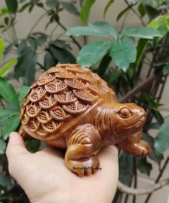 Wooden Turtle Statue - Handcrafted Green Cypress - 9x10x15 cm, Fortune Animal Decor