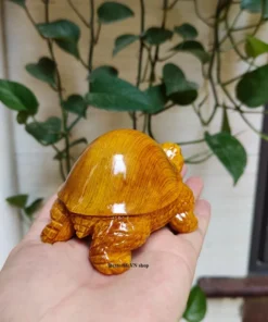 Wooden Turtle Statue - Small Size - Natural Fokieni Wood